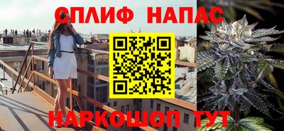 хмурый Камышлов