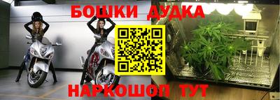 ГАЛЛЮЦИНОГЕННЫЕ ГРИБЫ Канаш