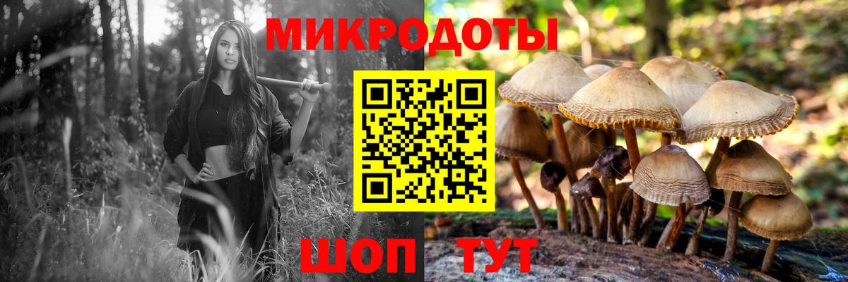 Псилоцибиновые грибы Magic Shrooms  Псилоцибиновые грибы мицелий  Вход с VPN  Крымск 